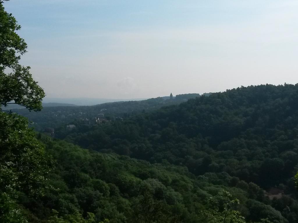 Weitblick Appartement *