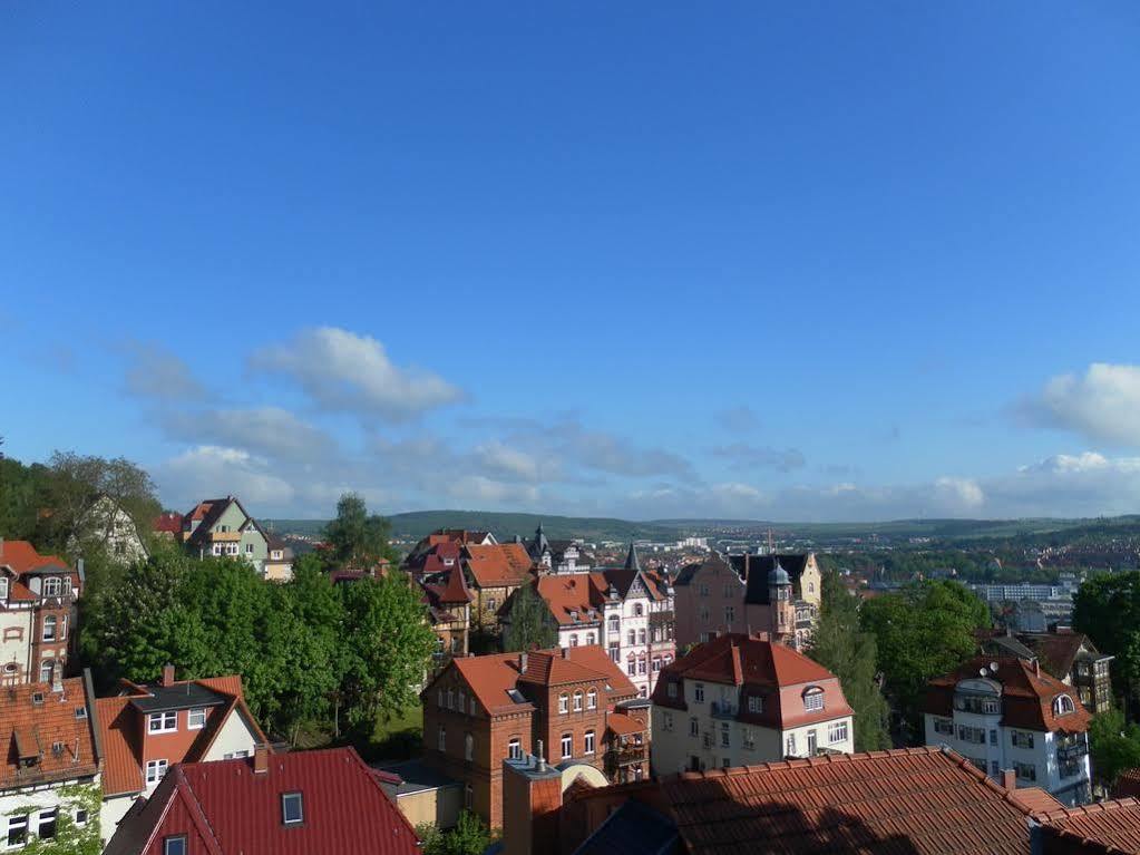 Weitblick *